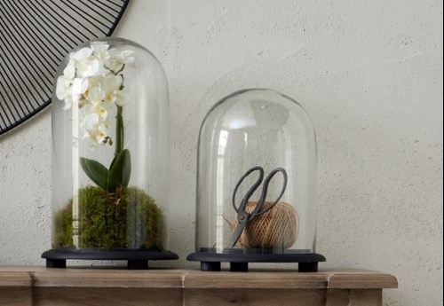 Potted Flowers